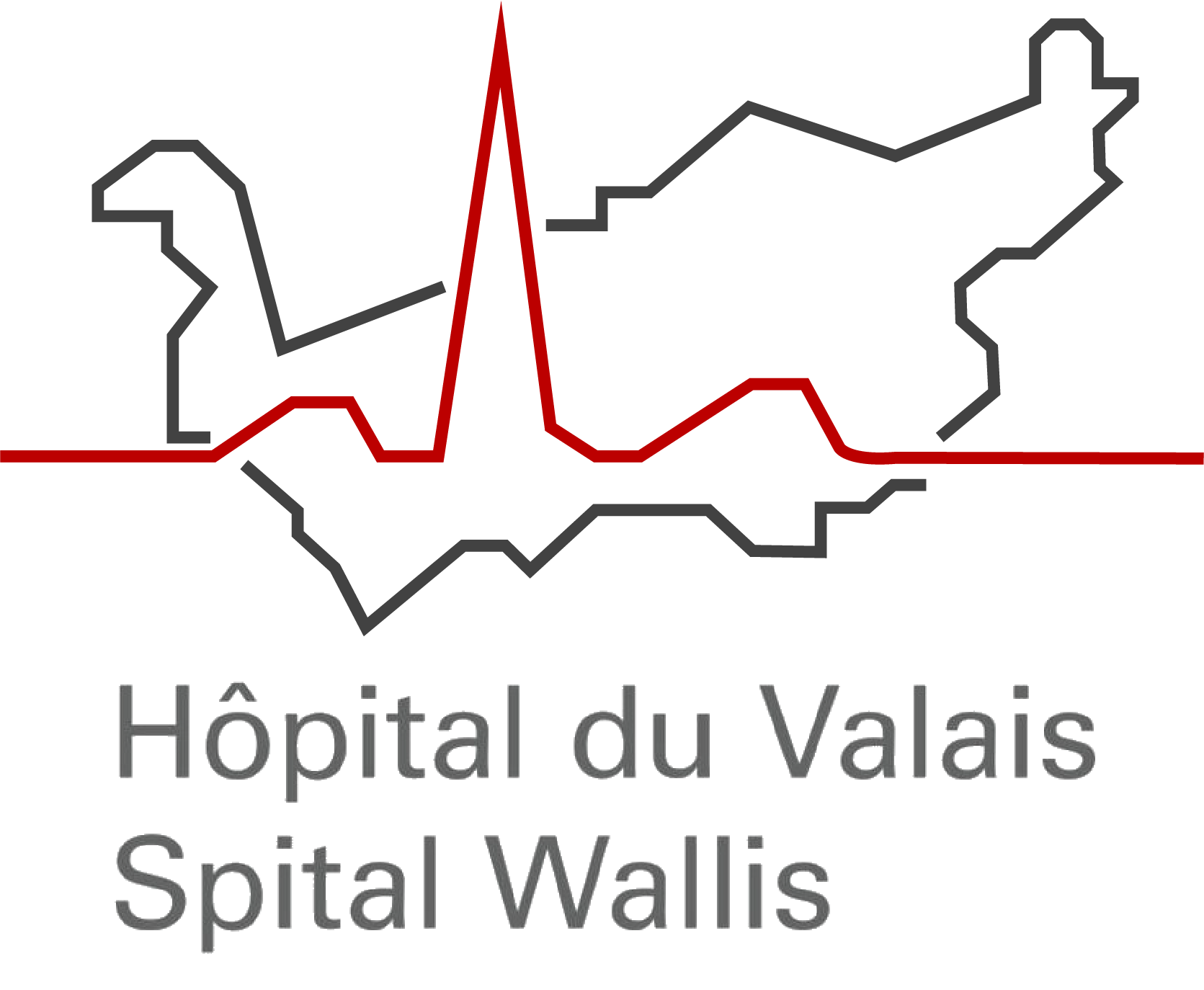 Logo Hôpital du Valais